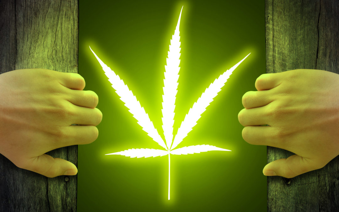 Is 2021 The Year For Rhode Island? Smoke Signals Point To Cannabis Adult Use Licensing