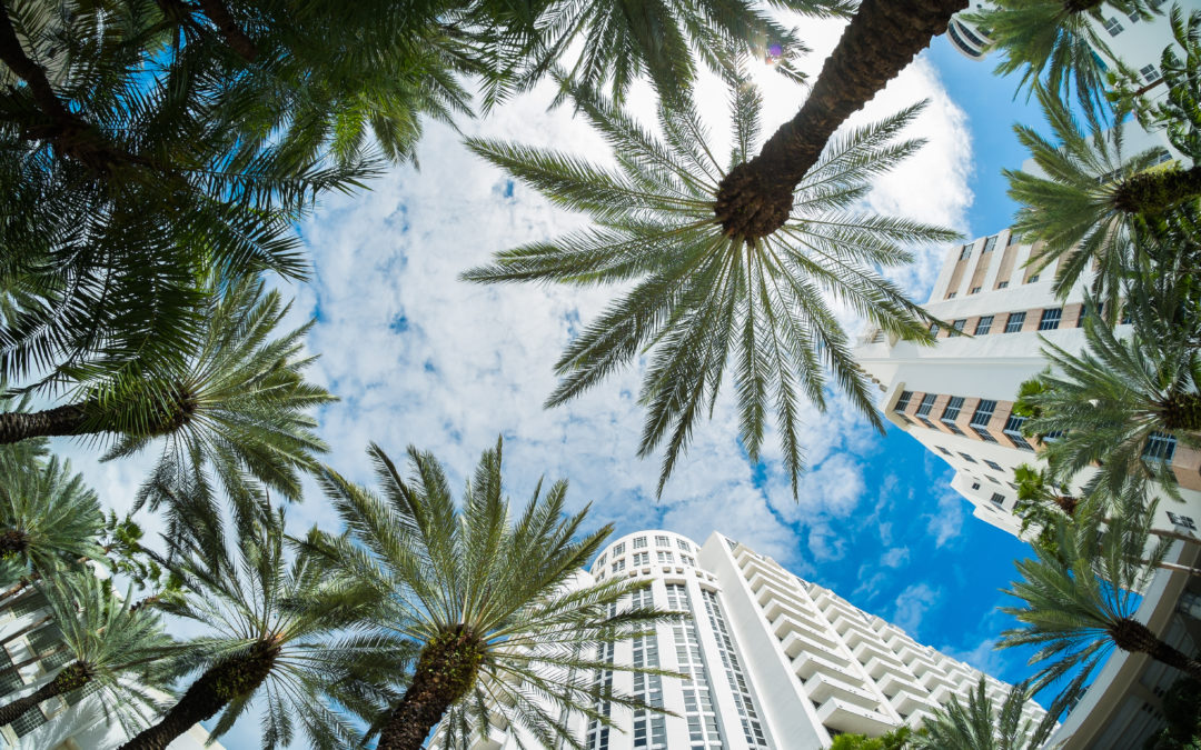 PERSPECTIVE INTO SOUTH FLORIDA’S BUSINESS & COMMERCIAL REAL ESTATE